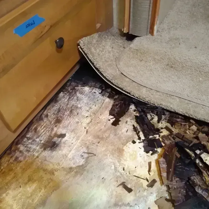 Wood Floor Water Damage in Chase County, KS